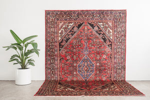 7x10 Persian Rug | FARZEEN