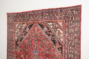7x10 Persian Rug | FARZEEN