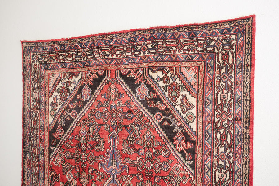 7x10 Persian Rug | FARZEEN
