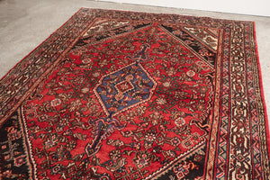 7x10 Persian Rug | FARZEEN