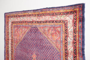7x10 Persian Rug | JAVID
