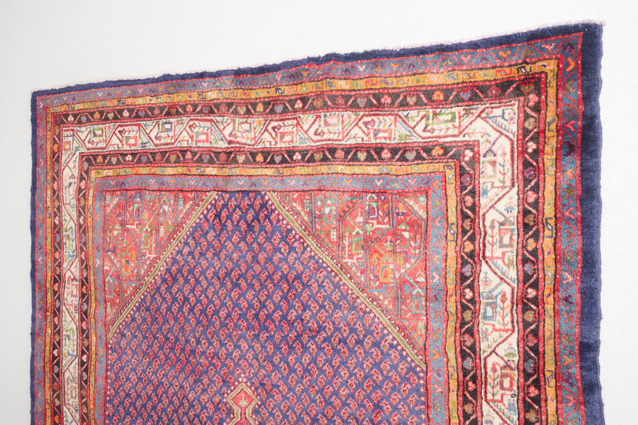 7x10 Persian Rug | JAVID