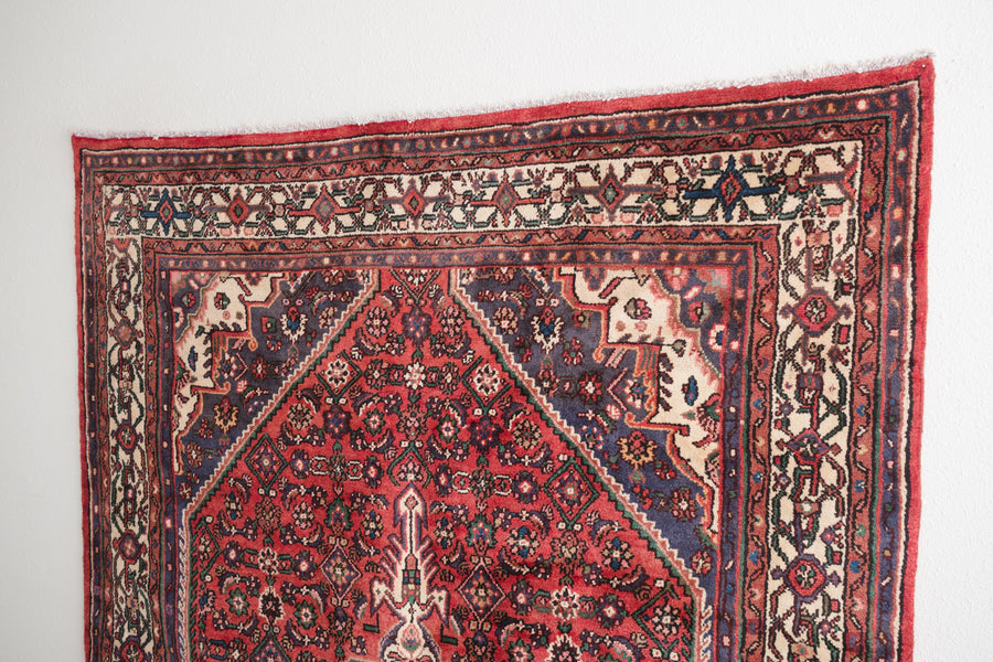 7x10 Persian Rug | KAYAN