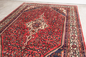7x10 Persian Rug | KAYAN