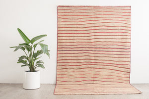 6x9 Persian Rug | KAMVAR