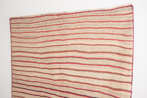 6x9 Persian Rug | KAMVAR