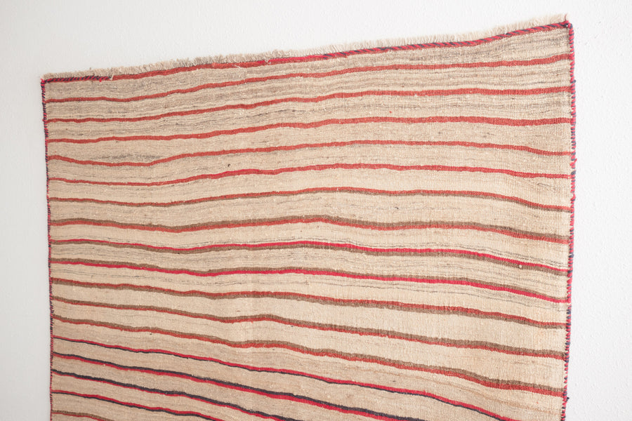 6x9 Persian Rug | KAMVAR