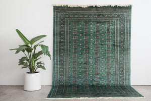 6x9.5 Pakistani Rug | HABBAH