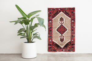 2.5x4 Persian Rug | LESAN