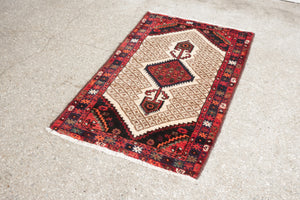 2.5x4 Persian Rug | LESAN