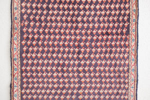 2x4 Persian Rug | MARVAN
