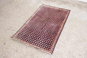 2x4 Persian Rug | MARVAN