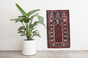 2x4 Persian Rug | LEISS