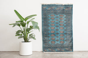 3x6 Pakistani Rug | KALA