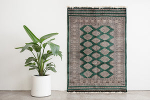 4x6.5 Pakistani Rug | KUMAIL
