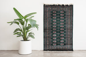 3x5.5 Pakistani Rug | KORIN