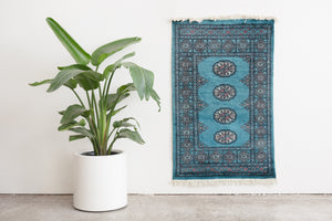 2.5x4.5 Pakistani Rug | KALESH