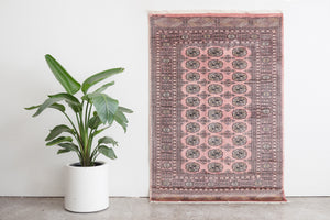 4x6 Pakistani Rug | KAFIL