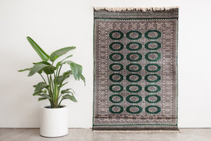 4x6.5 Pakistani Rug | MINZ