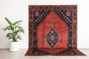 7x10 Persian Rug | MIAD