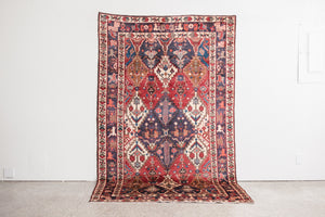 5x8.5 Persian Rug | MOEEN