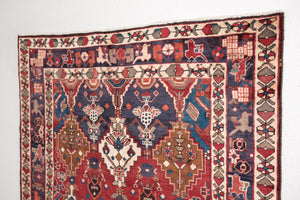 5x8.5 Persian Rug | MOEEN