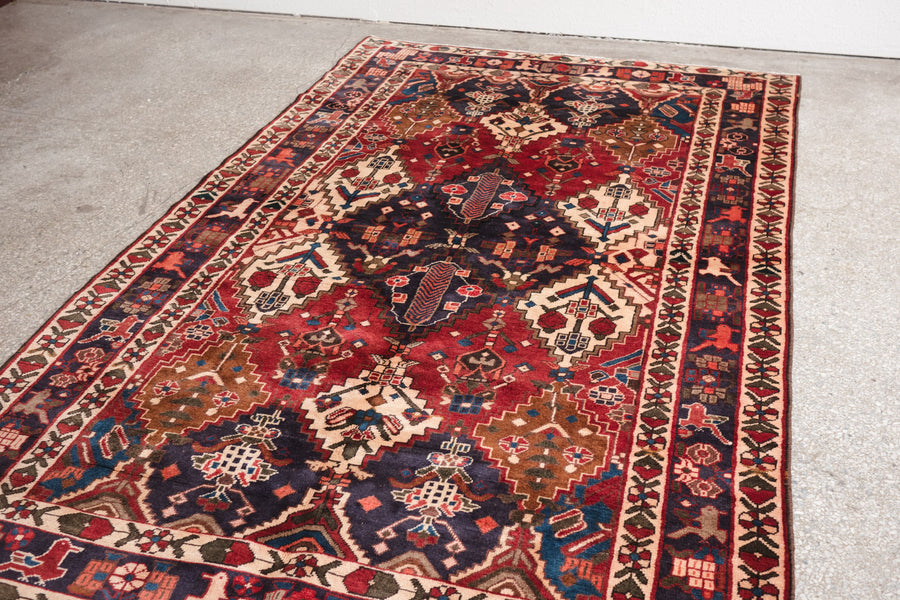 5x8.5 Persian Rug | MOEEN