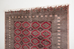 6x9.5 Pakistani Rug | JAGESHA