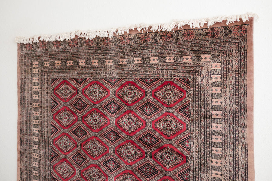 6x9.5 Pakistani Rug | JAGESHA