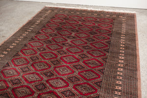 6x9.5 Pakistani Rug | JAGESHA