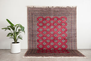 7x10 Pakistani Rug | RAJAL
