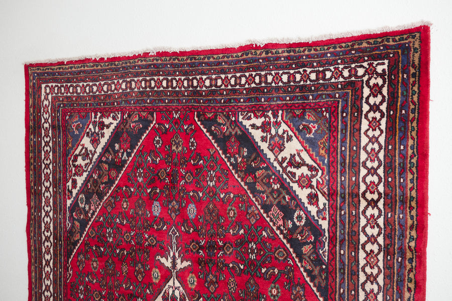 6x9.5 Persian Rug | NASIR