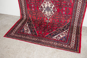 6x9.5 Persian Rug | NASIR