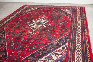 6x9.5 Persian Rug | NASIR