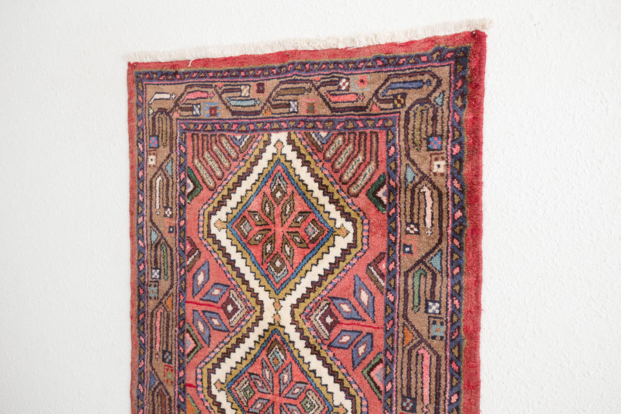 2.5x9 Persian Rug | AWAT