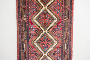 2.5x9 Persian Rug | AWAT