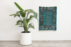 2x3 Pakistani Rug | HADAF
