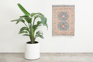 2x3 Pakistani Rug | AMERIA