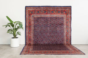 7x11 Persian Rug | ASHTI