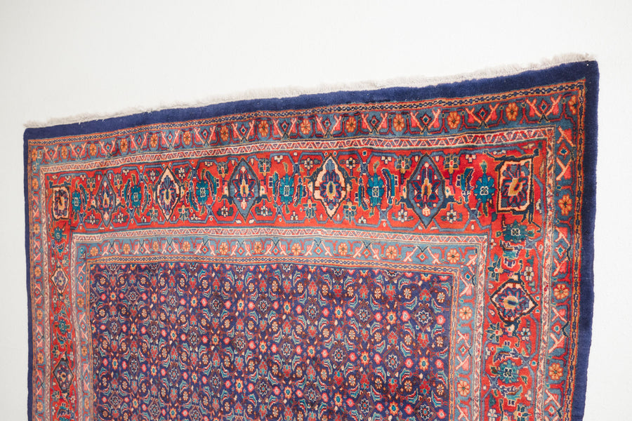 7x11 Persian Rug | ASHTI