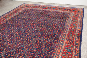 7x11 Persian Rug | ASHTI
