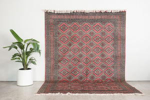 7x10 Pakistani Rug | HAJIL