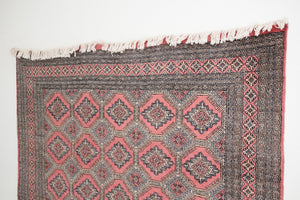 7x10 Pakistani Rug | HAJIL