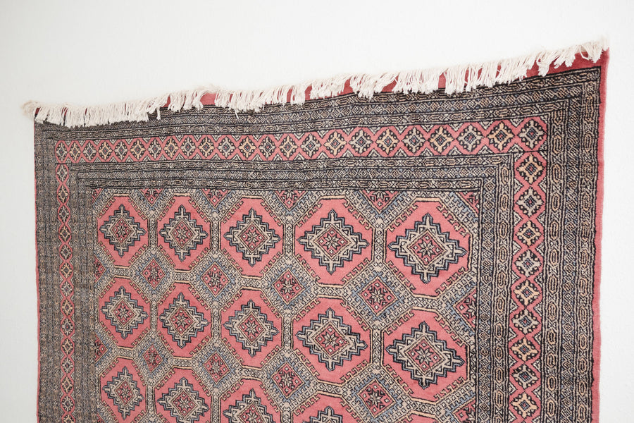 7x10 Pakistani Rug | HAJIL