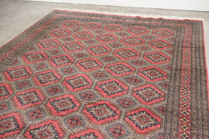 7x10 Pakistani Rug | HAJIL