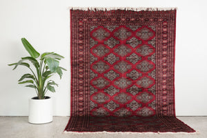 6x9.5 Pakistani Rug | NADAL