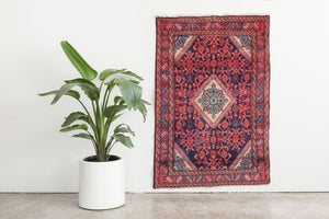 3.5x5 Persian Rug | AMANJ