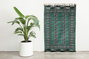 3x5.5 Pakistani Rug | JAMMAZ