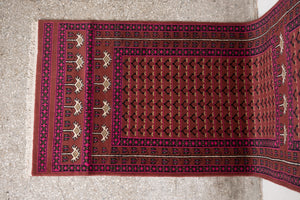 3x10 Pakistani Rug | HAISAM