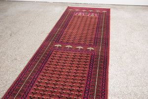 3x10 Pakistani Rug | HAISAM